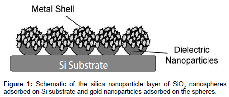 analytical-bioanalytical-techniques-silica-nanoparticle