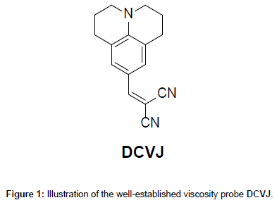 analytical-bioanalytical-techniques-well-established