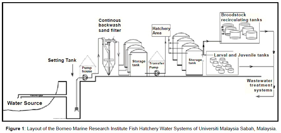 aquaculture-research-development-layout-borneo-marine