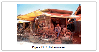 architectural-engineering-technology-chicken-market