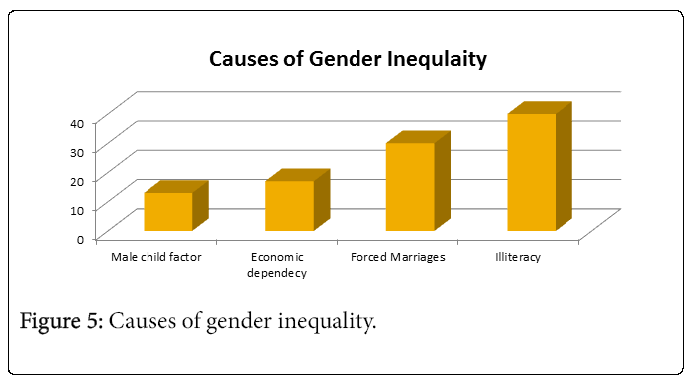 hypothesis on gender inequality