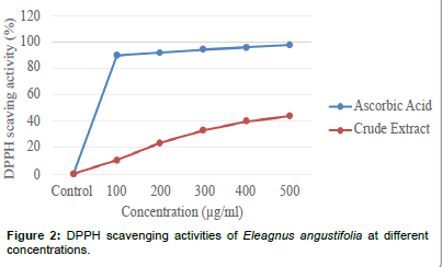 biochemistry-physiology-Eleagnus-angustifolia