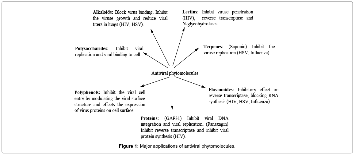 biochemistry-physiology-antiviral-phytomolecules