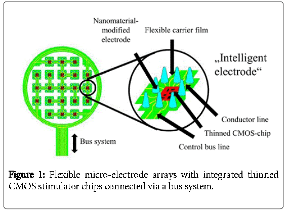 biochips-tissue-chips-Flexible-micro-electrode