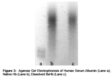 biomimetics-biomaterials-Human-Serum-Albumin