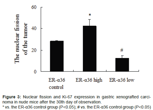 biomimetics-biomaterials-tissue-engineering-gastric-gastric-xenografted