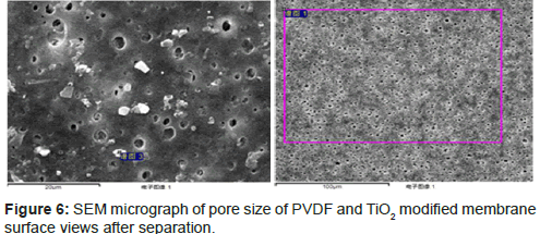 biomimetics-biomaterials-tissue-engineering-micrograph-of-pore-size