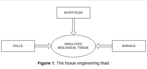 biomimetics-biomaterials-tissue-engineering-tissue-engineering-triad