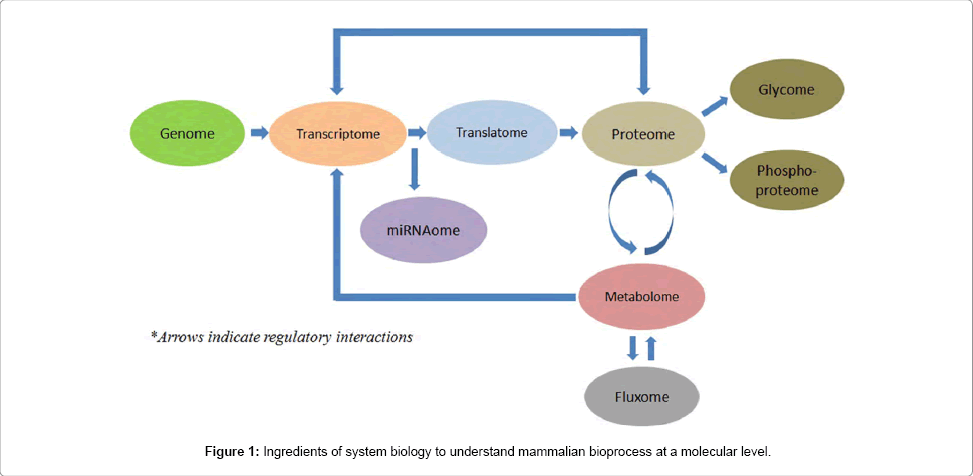 Application of System Biology Tools for the Design of Improved Chinese