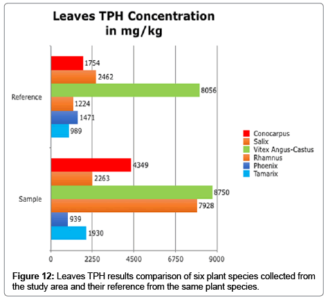bioremediation-biodegradation-Leaves-TPH
