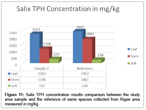 bioremediation-biodegradation-Salix-TPH