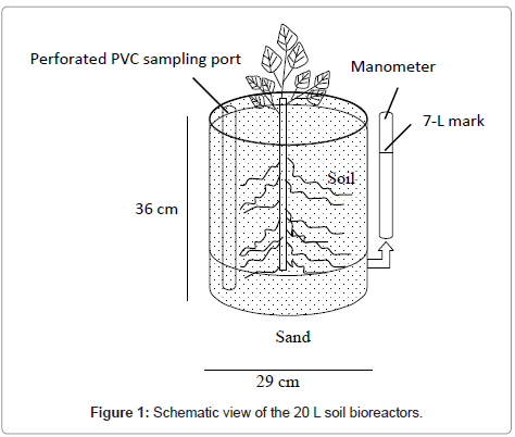 bioremediation-biodegradation-Schematic-view