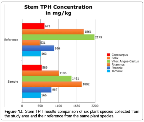 bioremediation-biodegradation-Stem-TPH
