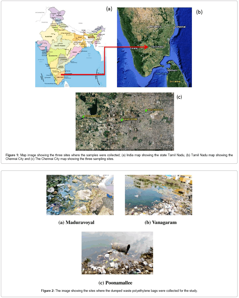 bioremediation-biodegradation-Tamil-Nadu