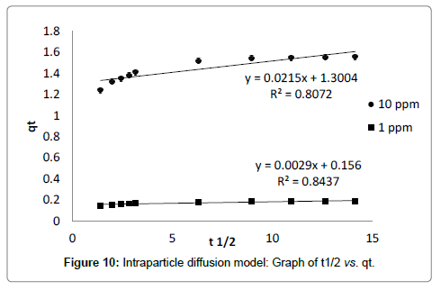 bioremediation-biodegradation-diffusion-model