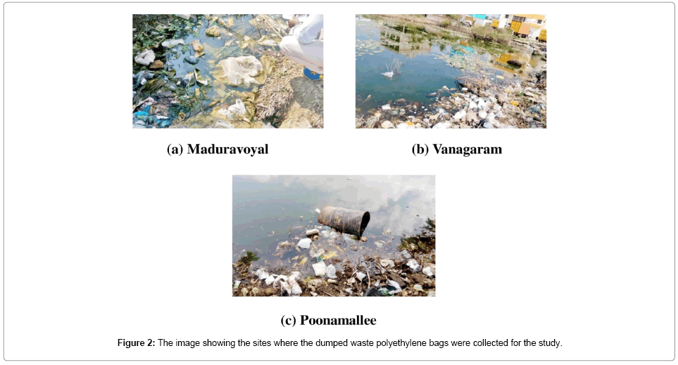 bioremediation-biodegradation-dumped-waste