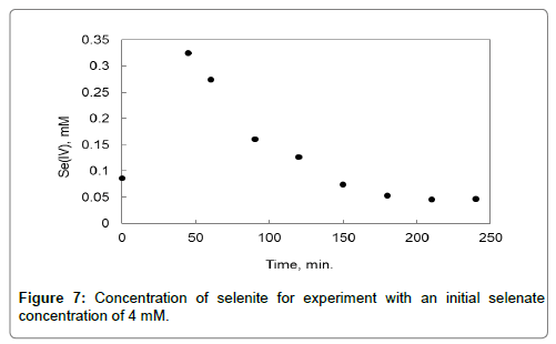 bioremediation-biodegradation-experiment