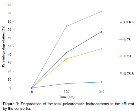 bioremediation-biodegradation-polyaromatic-hydrocarbons