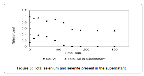 bioremediation-biodegradation-seleniuml