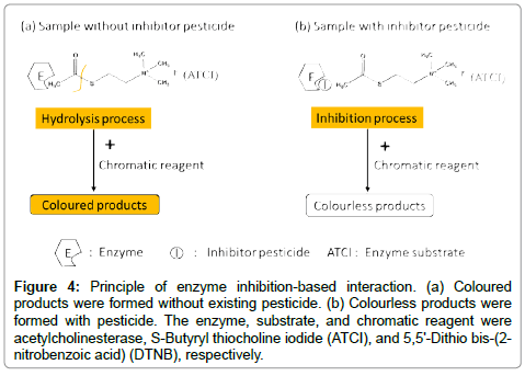 biosensors-inhibition-based