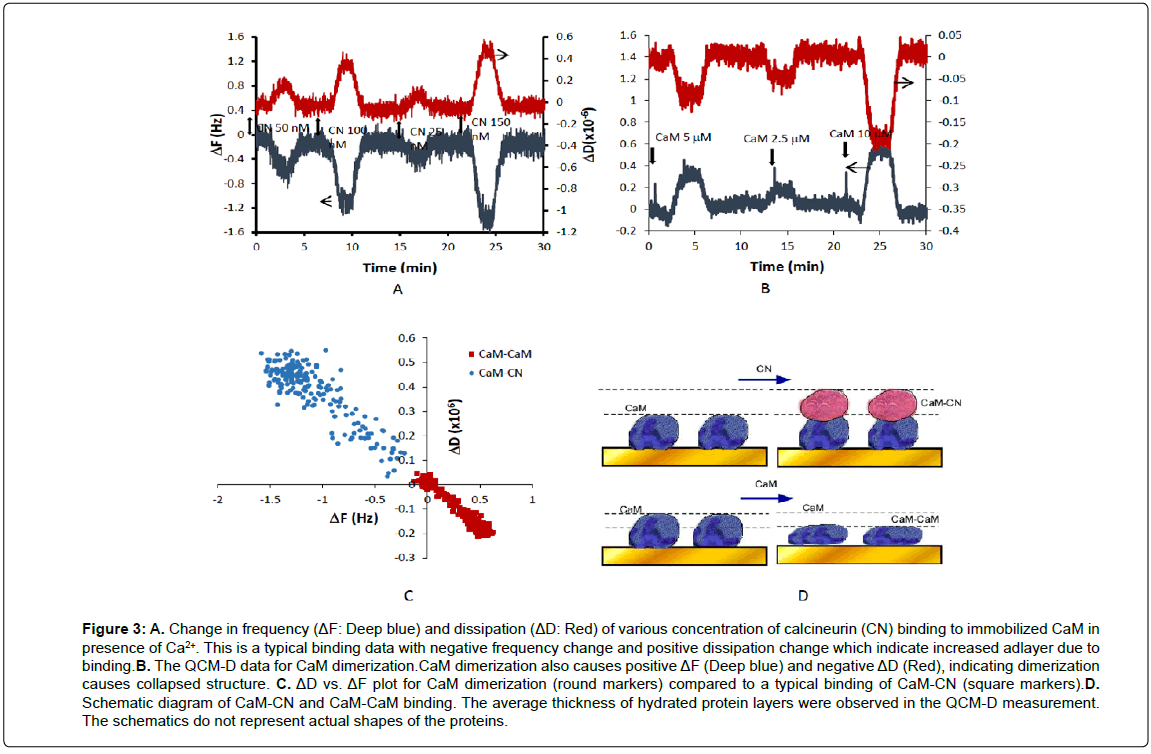 biosensors-journal-Change-frequency-various-concentration