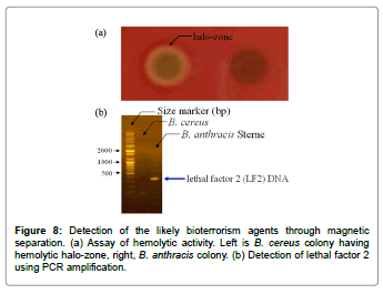 biosensors-journal-Detection-likely-bioterrorism-agents