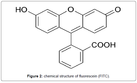 biosensors-journal-chemical-structure-fluorescein