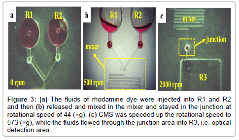 biosensors-rhodamine-dye