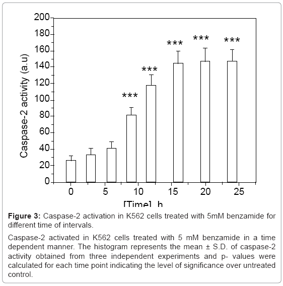 biotechnology-biomaterials-Caspase-2-activation