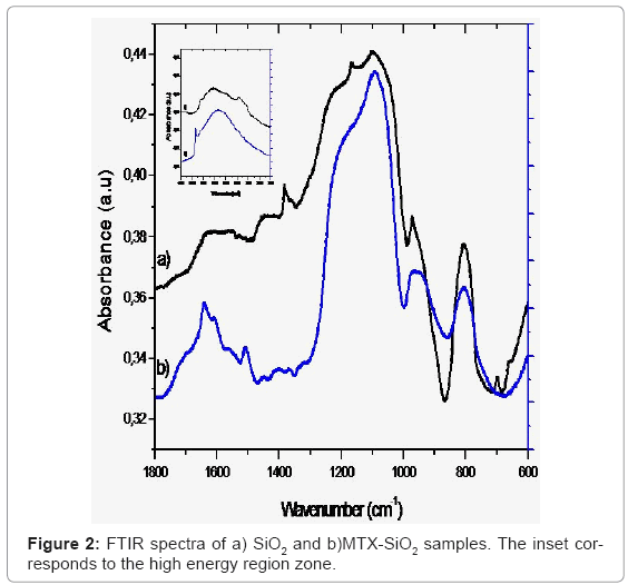 biotechnology-biomaterials-FTIR-spectra