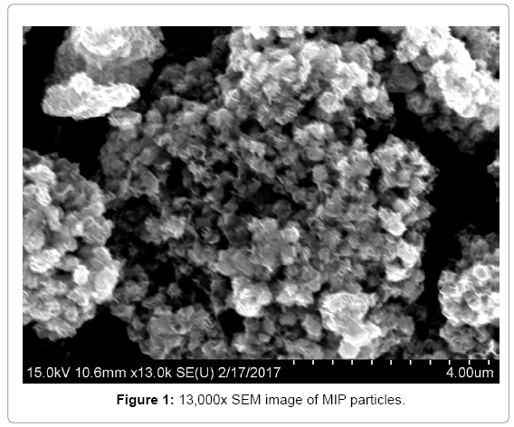 biotechnology-biomaterials-MIP-particles