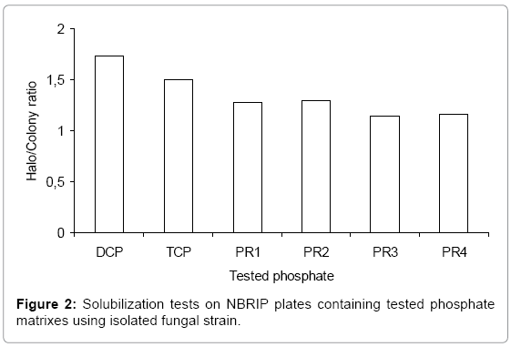 biotechnology-biomaterials-NBRIP-plates