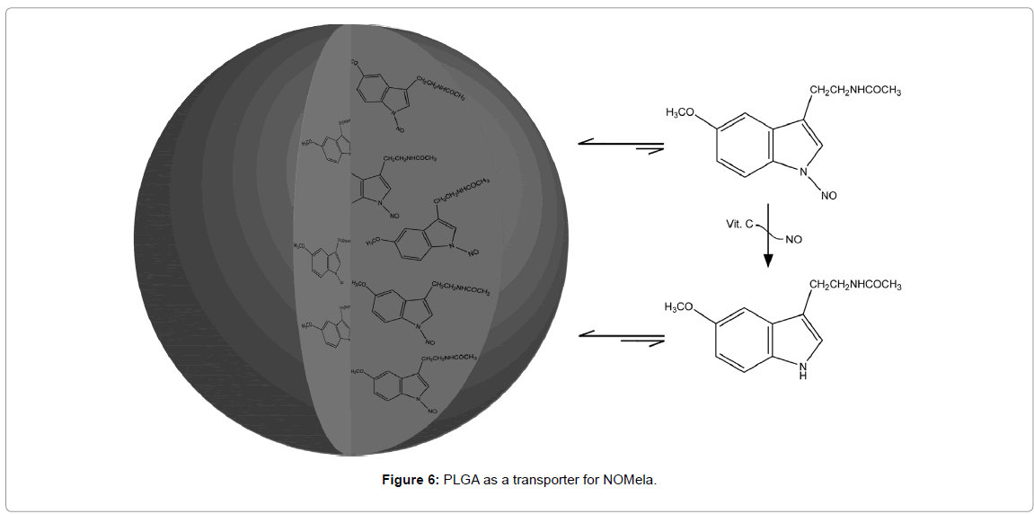 biotechnology-biomaterials-PLGA-transporter