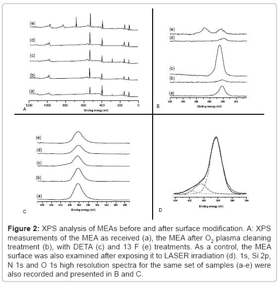 biotechnology-biomaterials-XPS-analysis