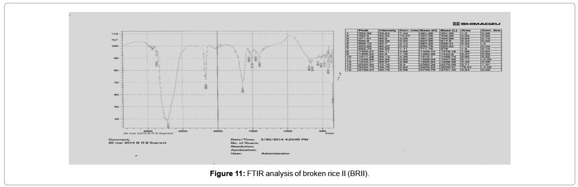 biotechnology-biomaterials-broken-rice