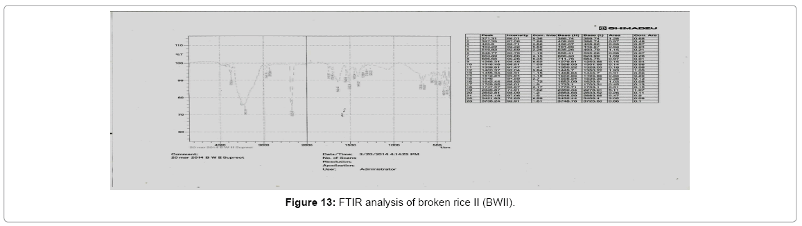 biotechnology-biomaterials-broken-rice-II