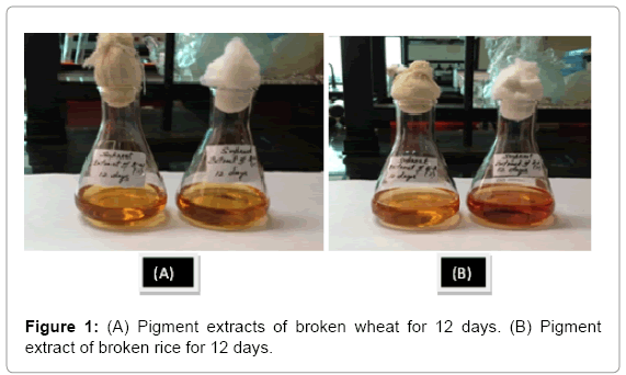 biotechnology-biomaterials-broken-wheat