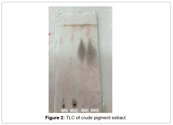 biotechnology-biomaterials-crude-pigment