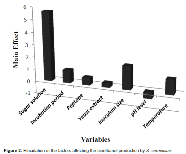 biotechnology-biomaterials-elucidation-factors