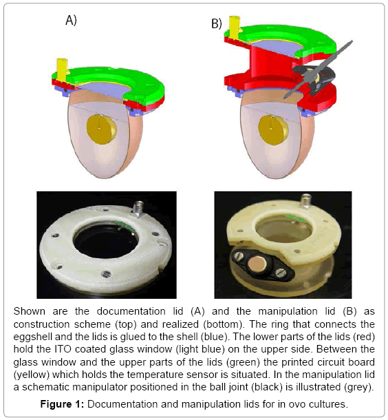 biotechnology-biomaterials-manipulation-lids