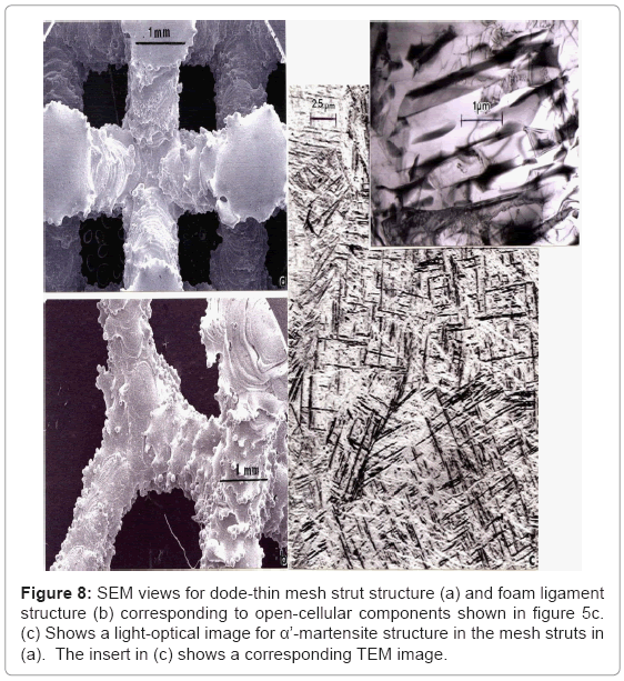 biotechnology-biomaterials-mesh-strut-structure