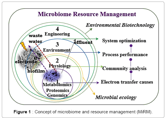biotechnology-biomaterials-microbiome
