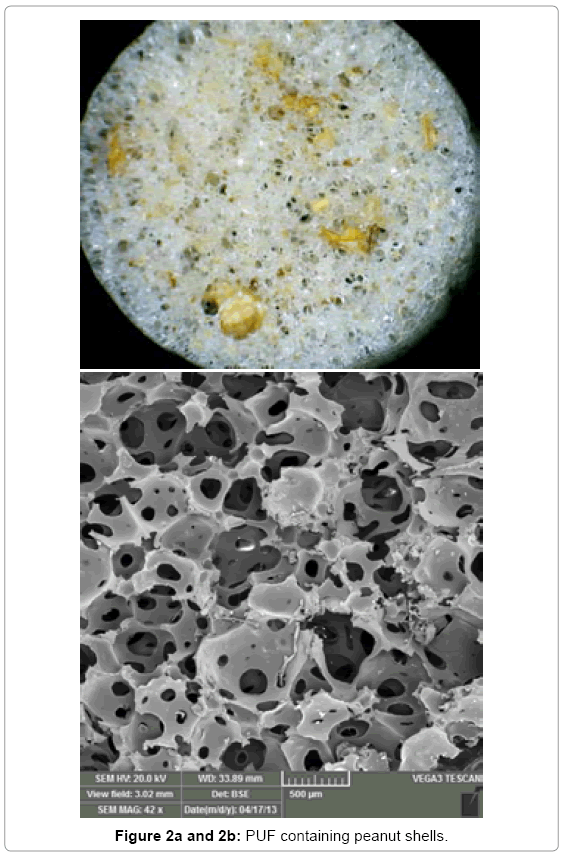 biotechnology-biomaterials-peanut-shells