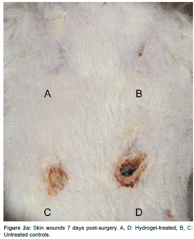 biotechnology-biomaterials-post-surgery