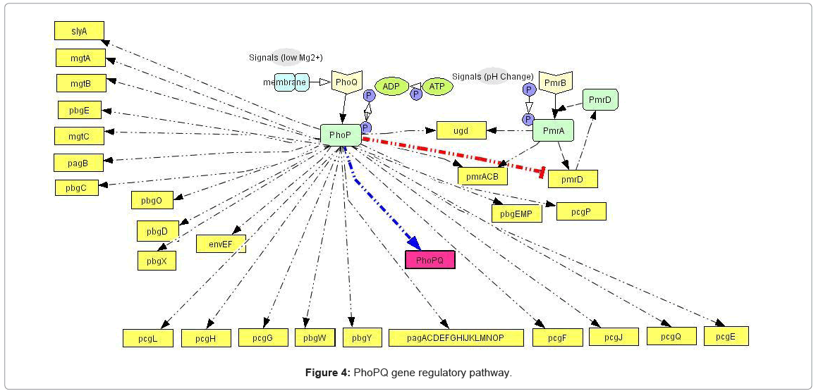 biotechnology-biomaterials-regulatory-pathway