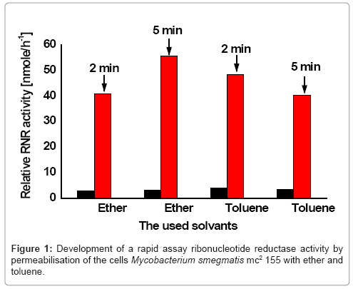 biotechnology-biomaterials-ribonucleotide-reductase