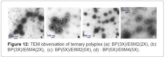 biotechnology-biomaterials-ternary-polyplex