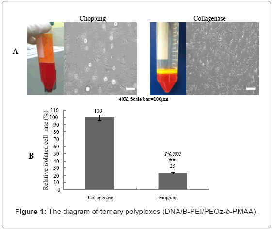 biotechnology-biomaterials-ternary-polyplexes