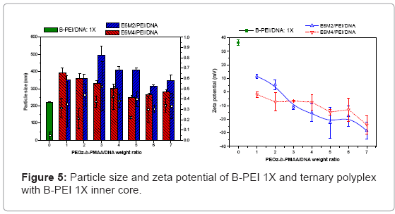 biotechnology-biomaterials-zeta-potential