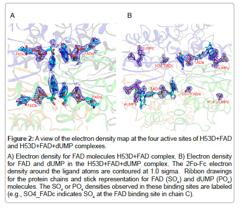 bioterrorism-biodefense-complexes